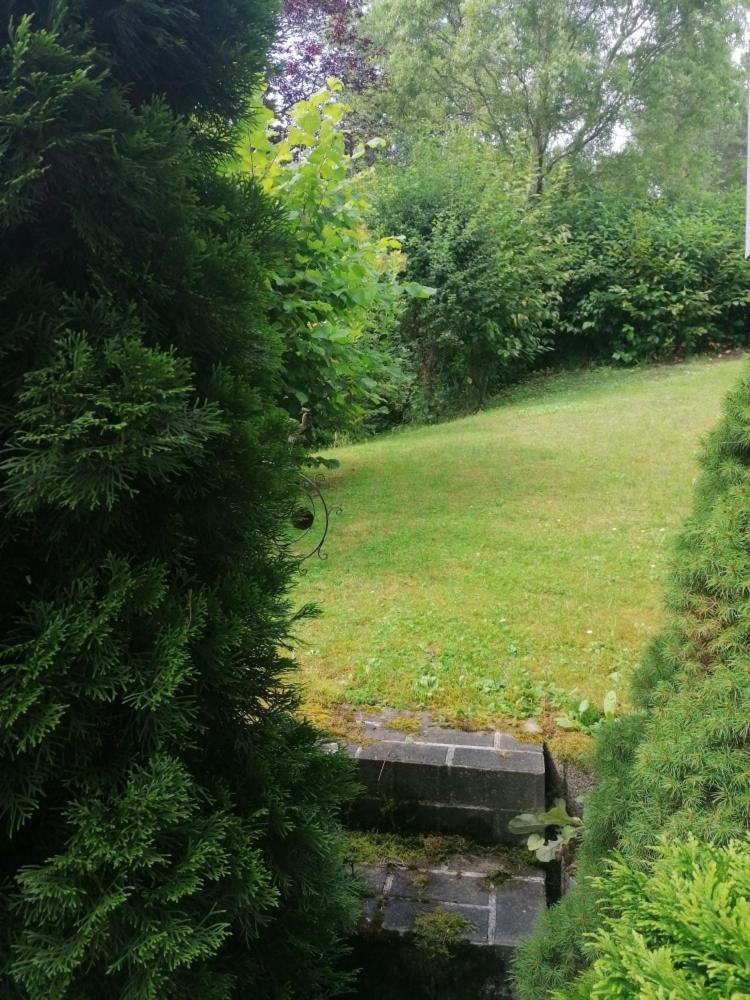 Fewo Grenzenlos In Ramsberg Pleinfeld Exteriér fotografie